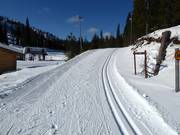 Die Loipen führen direkt am Skigebiet vorbei