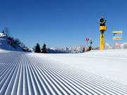 Ausgezeichnete Pistenpräparierung in Zoncolan 