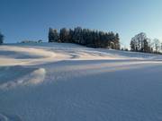 Tiefschnee neben der Piste