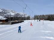 Drachenlift 2 - Tellerlift