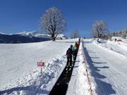 Förderband in der bodmiARENA
