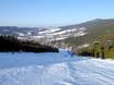 Adlergebirge (Orlické hory/Góry Orlickie): Größe der Skigebiete – Größe Deštné