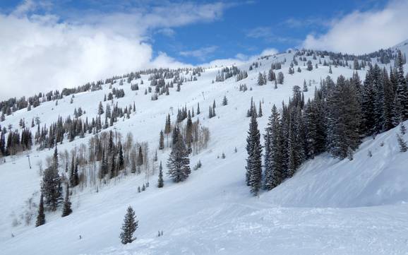 Teton Range: Testberichte von Skigebieten – Testbericht Grand Targhee