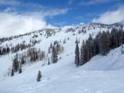Blick auf die Pisten am Blackfoot Lift