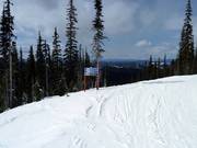 Von der Moonlight Run zweigen fünf Abfahrten ab