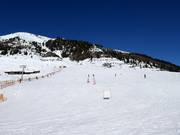 Leichte Abfahrten im Horbergtal am Mittertrettlift