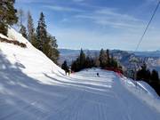 Abfahrt Dosso Larici