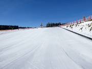 Anfängergelände im ArBär Kinderland