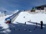 Tipp für die Kleinen  - Erlebniseldorado Hartkaiser in Ellmau