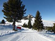 Via del Lupo/Wolfspfad