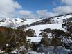 Great Dividing Range: Größe der Skigebiete – Größe Falls Creek
