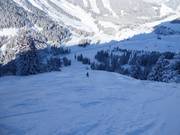 Schwarze Abfahrt am Rastkopf