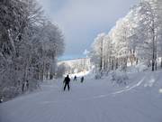 Leichter Zubringer zur Großen Almberg-Sesselbahn