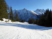 Leichte Piste an der Jöchelspitzbahn