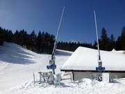 Lanzenbeschneiung am Notschrei