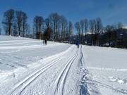Loipe oberhalb von Schladming