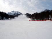 Perfekt geeignet für schnelles Carven: Ozernaya