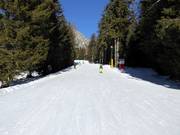 Leichte Abfahrt Falzeben I