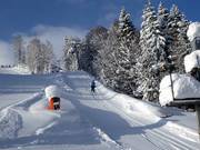 Nordhang-Schlepplift - Schlepplift mit T-Bügel/Anker