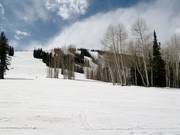 Abfahrten am Sam´s Knob