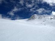 Piste Bacchus B Nr. 2b