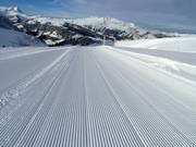 Frische Rillen im Schnee