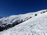 Weitläufiges Tiefschneegelände an der Hornbahn 2000