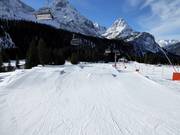 Tipp für die Kleinen  - Familypark Ehrwalder Alm