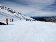 Übungshang Baby 1 (Kellaria 1950)