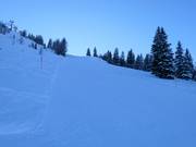 Schwarze Piste Lärchenhang