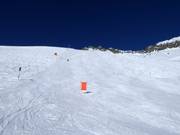 Schwere Piste am Lutersee-Flyer