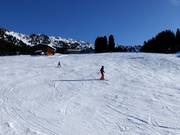 Anfängerpiste Rosenalm/Plattenangerlift (Zell am Ziller)