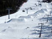 Die leichten Obstacles sind auch für Kinder bestens geeignet