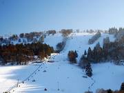 Schönster Skihang im Sauerland: Köhlerhagen