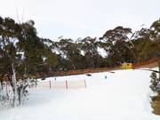 Übungsgelände The Magic Forest an der Bourke Street