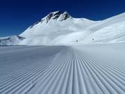 Frische Rillen im Schnee