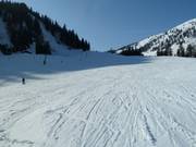 Piste am Gimpinglift