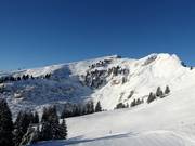 Blick zu den Freerideabfahrten am Grand Chamossaire (Villars)