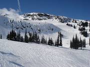 Felsen, Rinnen und freier Skiraum