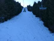 Schwarze Piste unter der Hohenbogenbahn 