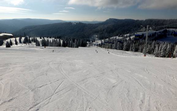 Skigebiete für Anfänger im Landkreis Breisgau-Hochschwarzwald – Anfänger Feldberg – Seebuck/Grafenmatt/Fahl