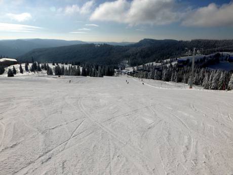 Skigebiete für Anfänger im Hochschwarzwald – Anfänger Feldberg – Seebuck/Grafenmatt/Fahl