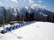 Auch für blutige Anfänger ist der Bereich unterhalb des Mountain Shelter ideal.