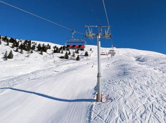 Douce - © Michael Medek - Foto: Michael Medek