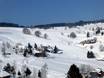 Breisgau-Hochschwarzwald: Größe der Skigebiete – Größe Schauinsland – Hofsgrund