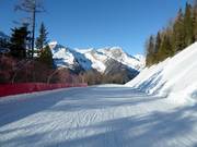 Leichte Familypiste 3