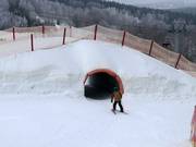 Tipp für die Kleinen  - Skicross