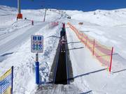 Förderband Gadein - Förderband/Zauberteppich