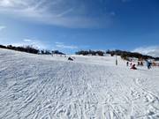 Leichte Piste Woodrun