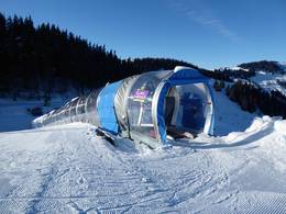 Ellmi's Zauberteppich II